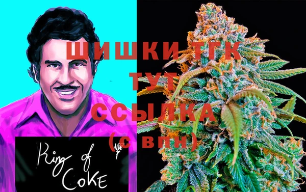 Альфа ПВП Абаза