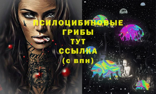 Альфа ПВП Абаза